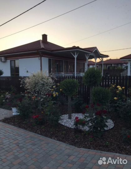 Плетённые Деревья, Русская пальма, ивы