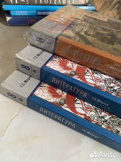 Литература 8 класс Меркин 3 части