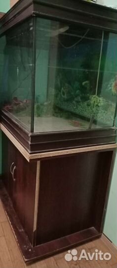 Аквариум