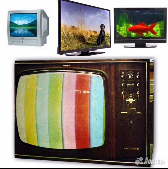 Триколор тв