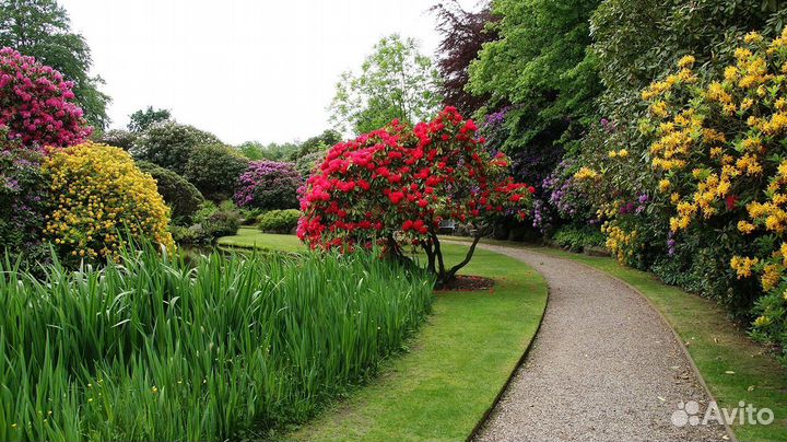 Студия ландшафтого дизайна