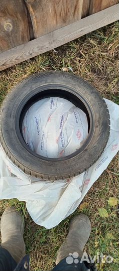 Nokian Tyres Nordman 7 185/60 R15