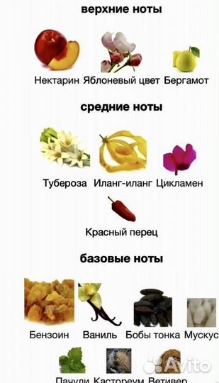 Парфюм ниша оригинал The Gate Чувственные Мечты