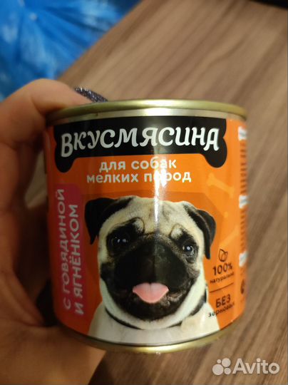 Корм для собак