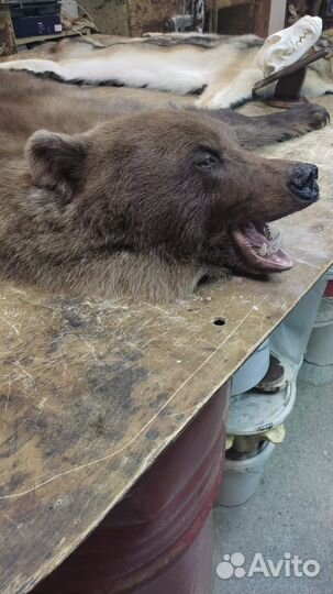 Шкура медведя имитация