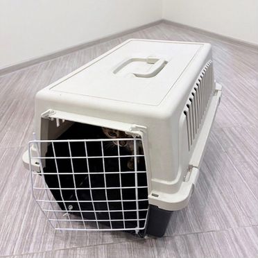 Переноска до 10 кг