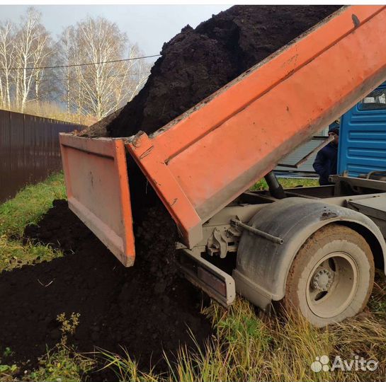 Чернозем Лесной