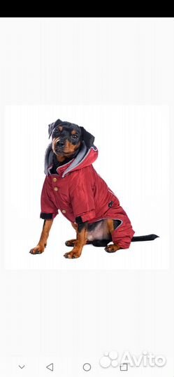 Комбинезон для средней собаки