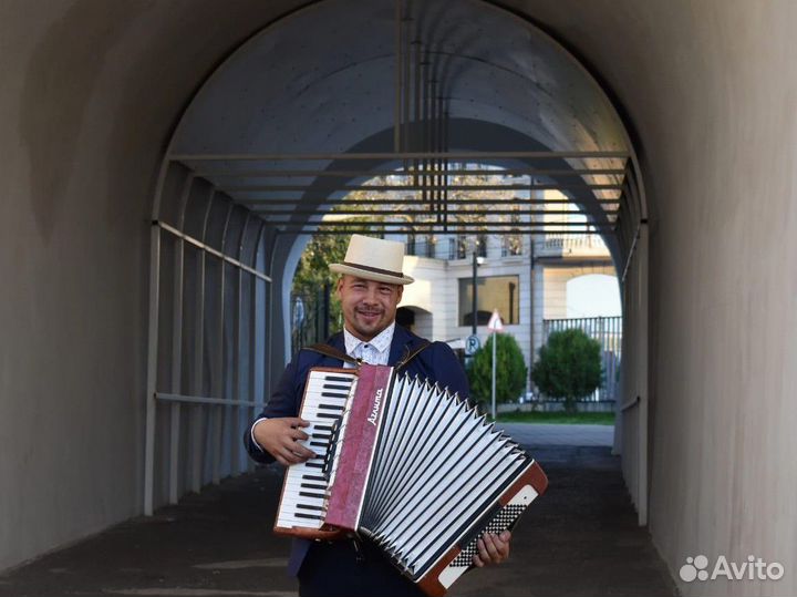 Баянист, Аккордеонист,гармонист