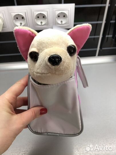 Собачка Chi chi love