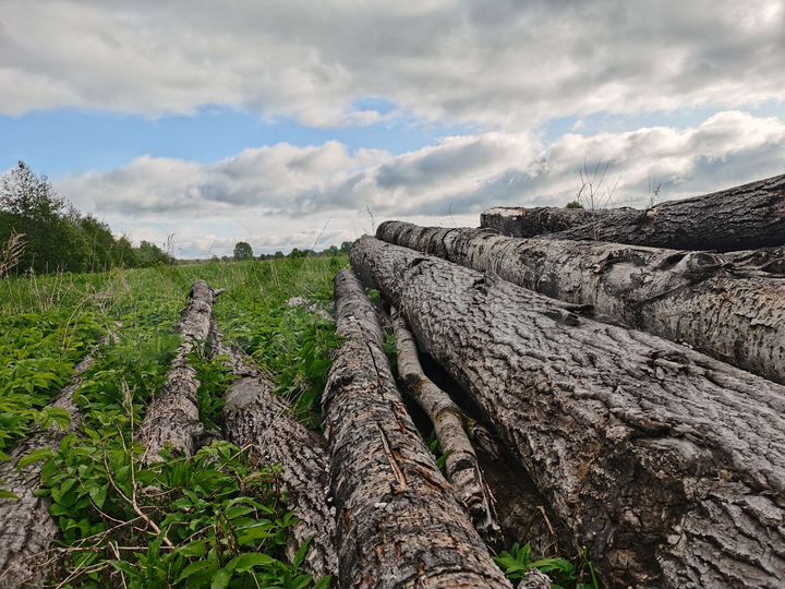 Участок 8,7 га (СНТ, ДНП)