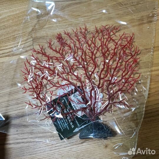 Декоративный коралл, аквариумное растение