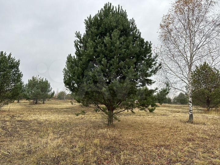 Участок 11 сот. (ИЖС)