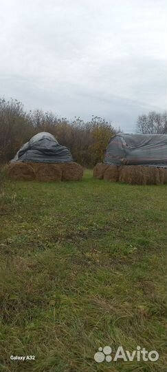 Салом и сено