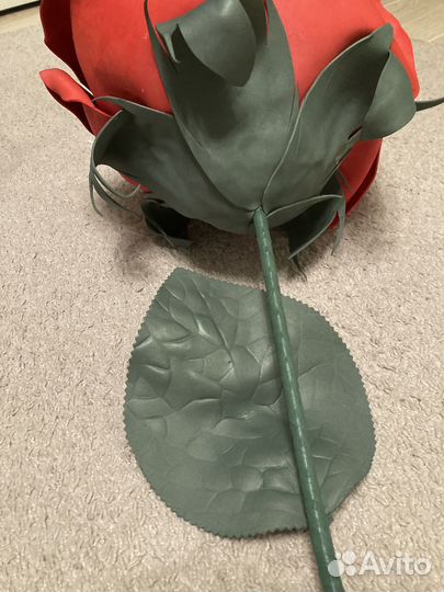 Розы гиганты