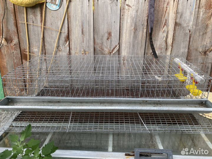 Продам клетку для перепелов