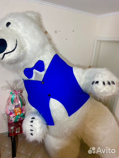 Костюмы для Белого Медведя 2,6,надувного