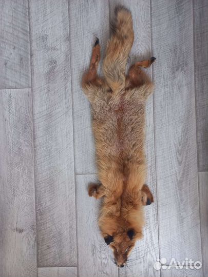 Лисья шкура