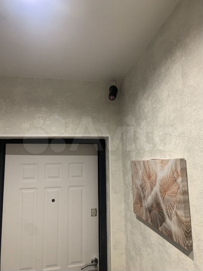 Квартира-студия, 25 м², 1/5 эт.