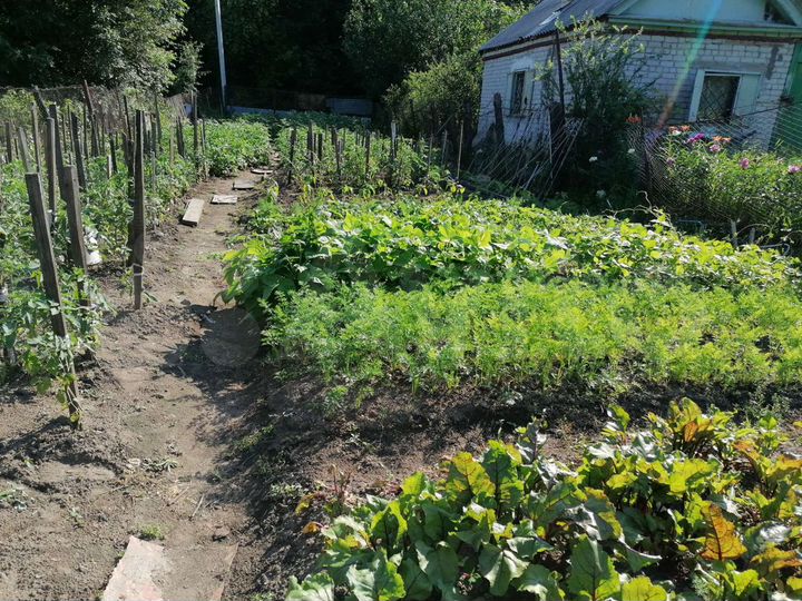 Участок 6 сот. (СНТ, ДНП)