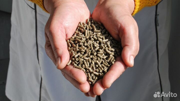 Комбикорм опт от Производителя, ищем дилера