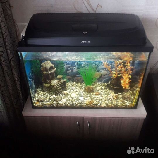 Аквариум