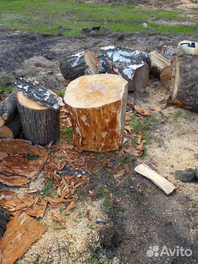 Кряж берёзовый для рубки мяса.дров