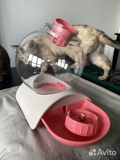 Автопоилка для кошек и собак