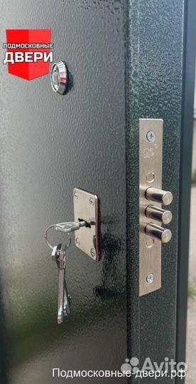 Дверь входная металлическая с зеркалом