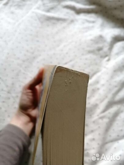 Медные снежки: русские писатели и безумие