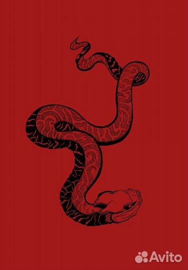 Иллюстрации