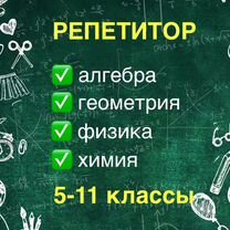 Репетитор 5-11 классы