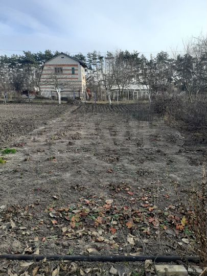 Дача 56,9 м² на участке 10 сот.