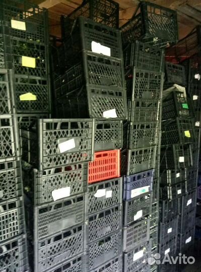 Ящик пластиковый