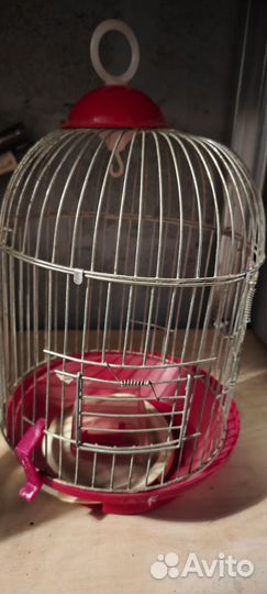 Клетка для птиц