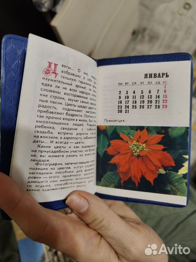 Ежемесячный календарь Садовод 1984 г