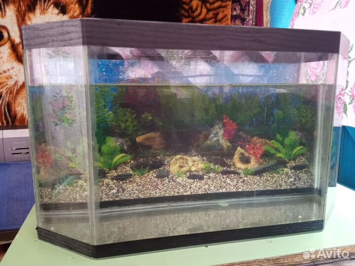 Аквариум