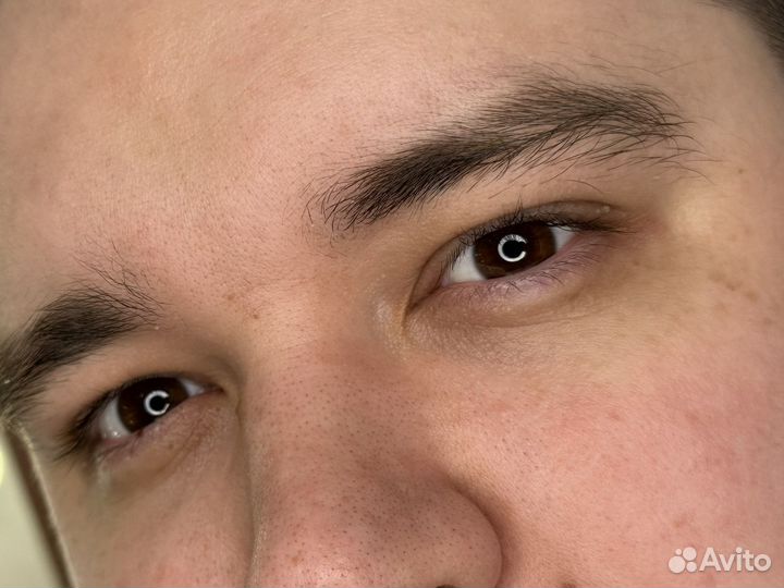 Мужской бровист