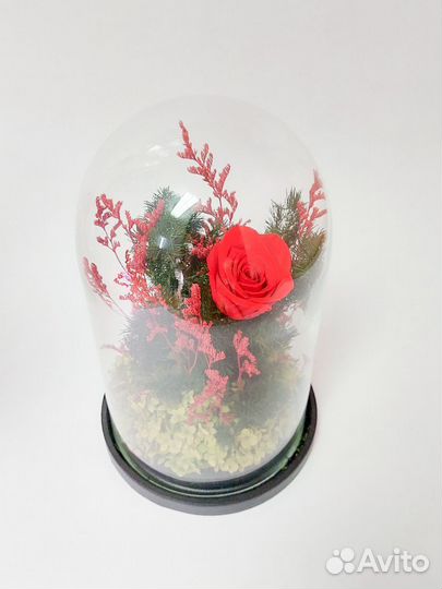 Вечная роза в колбе