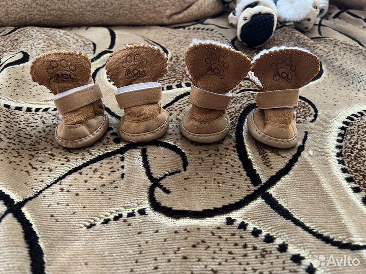 Одежда для собак