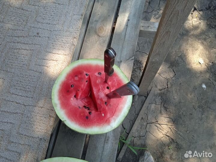 Арбузы оптом