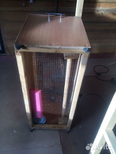 Брудер для цыплят