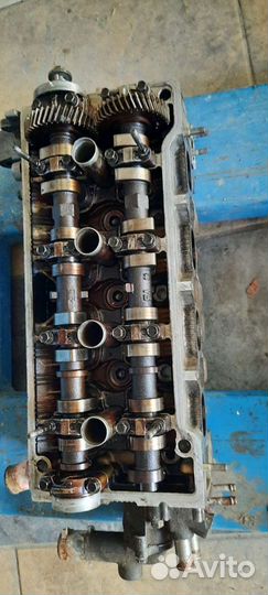 Голова на toyota levin