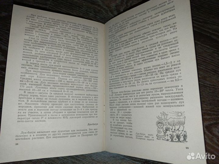 Книга, Домашний огород 1982г