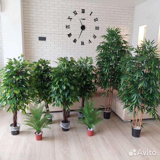 Искусственное дерево. Фикус бенджамина