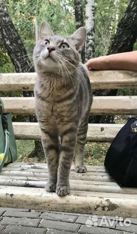 Лишился дома