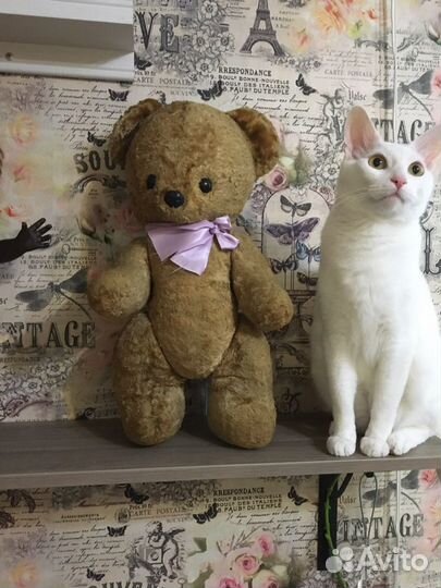 Медведь СССР