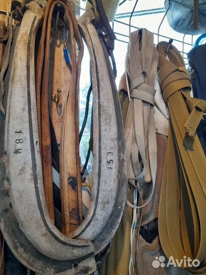 Хомут-клещи вожжи кнут все для лошадки