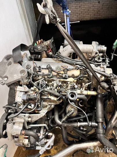 Двигатель Nissan Primera седан III 1.9 dCi (F9Q260