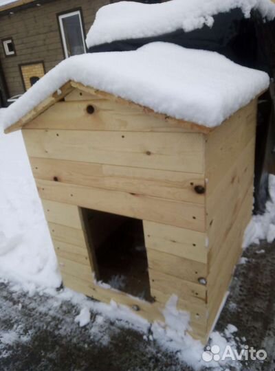 Собачья будка